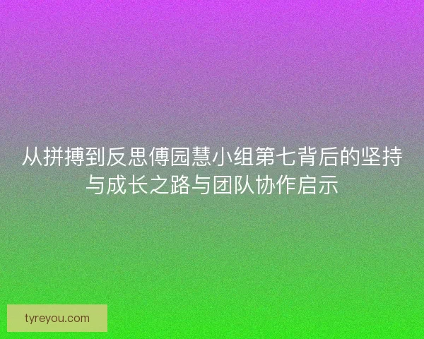 从拼搏到反思傅园慧小组第七背后的坚持与成长之路与团队协作启示