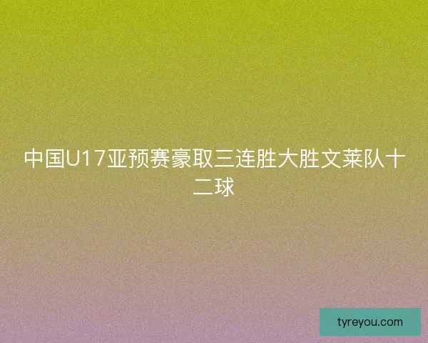中国U17亚预赛豪取三连胜大胜文莱队十二球 中国U17亚预赛豪取三连胜大胜文莱队十二球